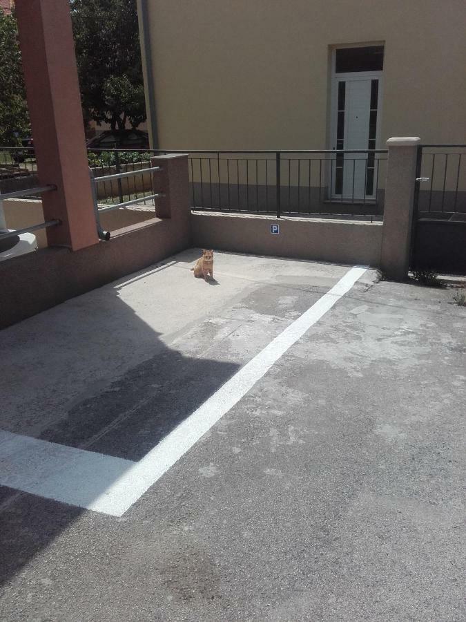 Maremy Apartment Задар Екстериор снимка